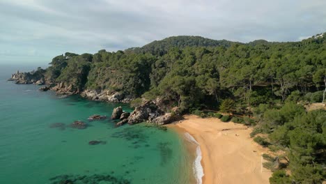 Marvel-at-Lloret-De-Mar's-beauty-from-above,-where-aerial-shots-reveal-the-transparent-blue-waves-and-upscale-tourist-attractions-of-Santa-Cristina-and-Cala-Treumal