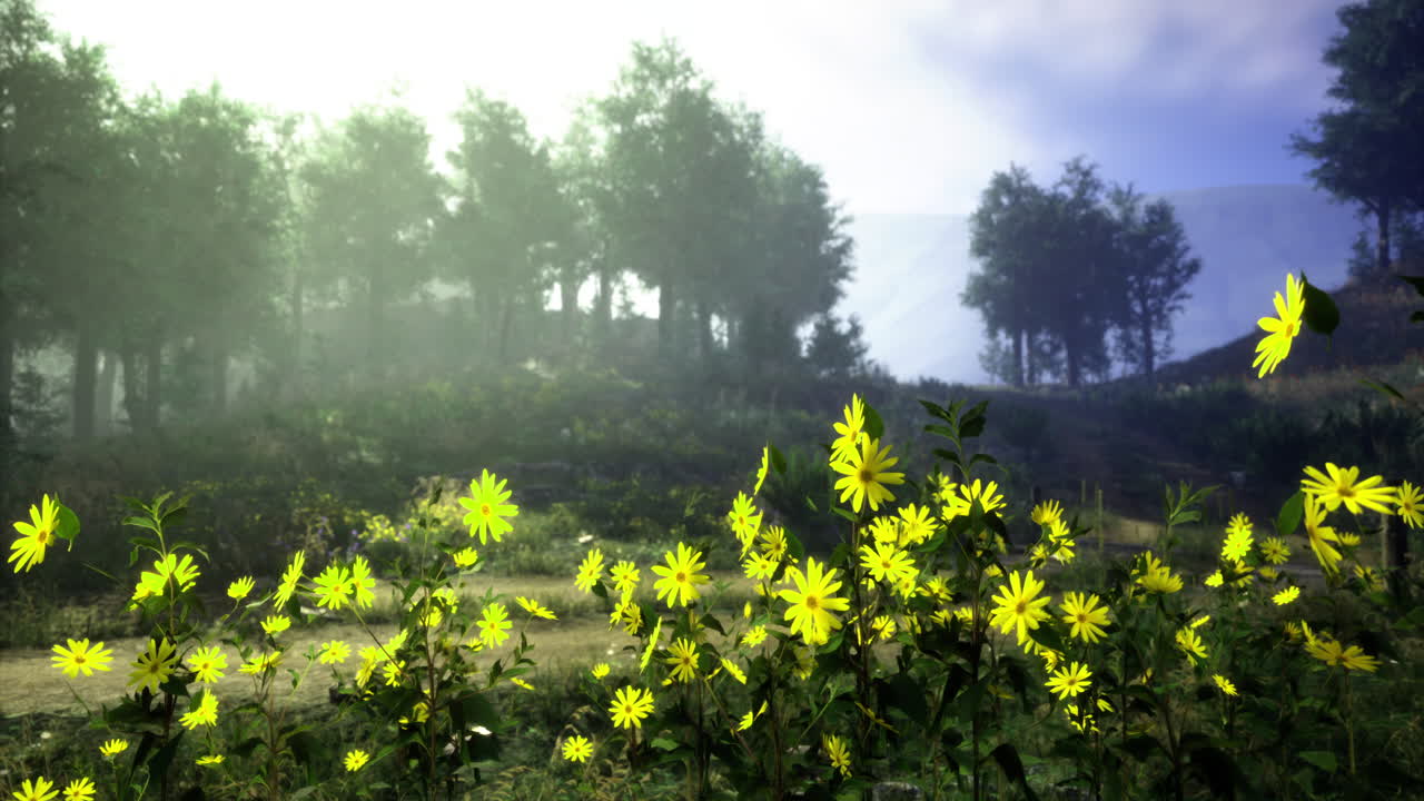Sunlight filters through trees illuminating vibrant yellow flowers in a forest