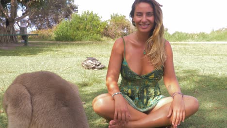 sexy woman sitting with crossed legs smiling at camera beside young kangaroo eating grass - australia