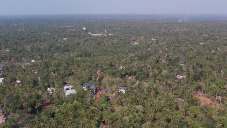 toma aérea de varkala de zonas verdes y árboles