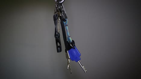 keys hanging (white backround with vignette)