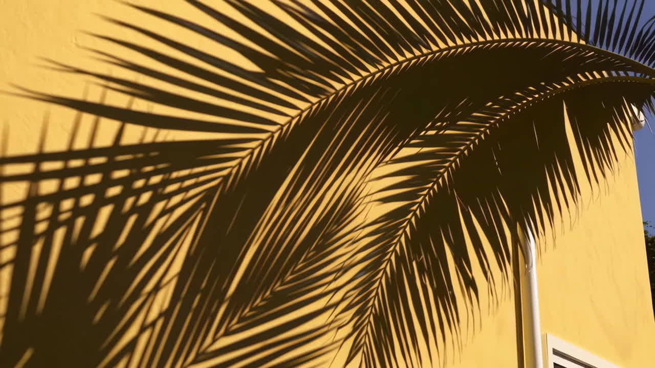 Palm Leaf Shadows on a Yellow Wall