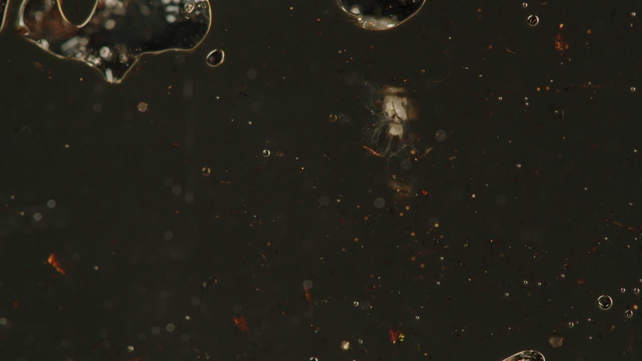 Dark Water with Bubbles and Debris