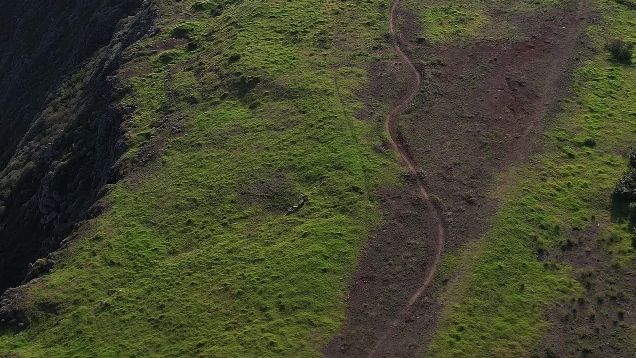 Stunning aerial view of Madeira's green landscape captured by drone