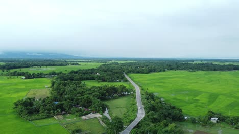 aerial view shot of paddy field in arunachal pradesh