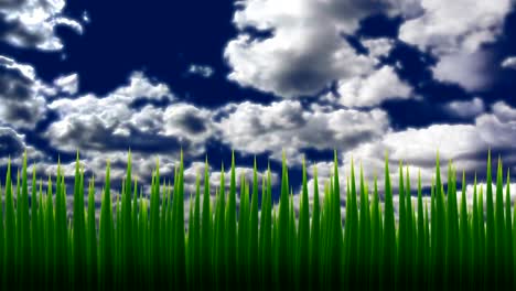 animation of grass against the sky. swaying green blades of grass and slowly floating clouds. green environment concept