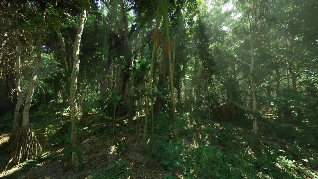 Terreno forestale sereno che mostra radici esposte e dettagli di lettiera di foglie.