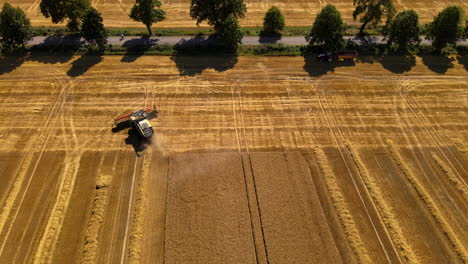 Agricultura-Polaca