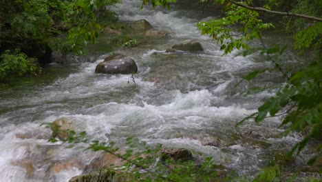 Wasser,-Das-An-Regnerischen-Tagen-Den-Bach-Hinunterfließt