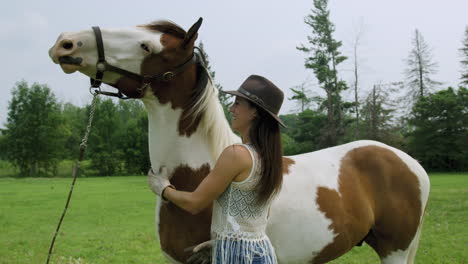 Joven-Vaquera-Segura-De-Sí-Misma-Uniéndose-Con-Su-Caballo-Pinto-Macho-Adulto,-Frotándose-El-Cuello