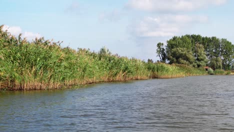 Plätscherndes-Wasser-Des-Donaudeltas,-Umgeben-Von-Schilfrohr-In-Tulcea,-Rumänien,-Europa---Bootstour---Weitwinkelaufnahme