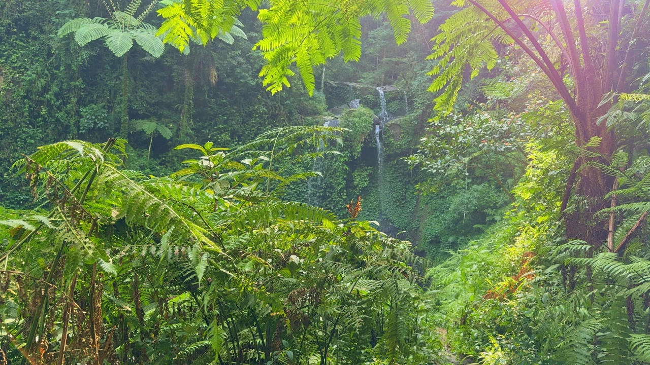 Natural beauty of a waterfall in tropical rainforest with abundant green plants and bright sunlight.