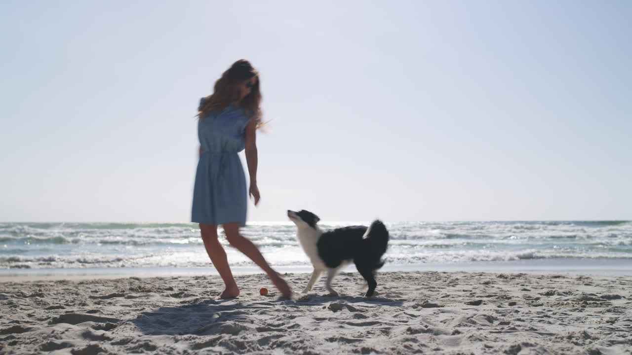 완벽한 외출 하루