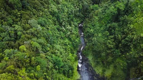 drone going above akaka falls in hawaii