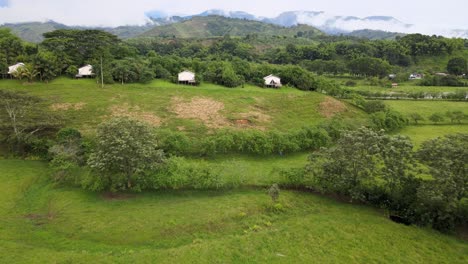ríos, árboles, animales y naturaleza de colombia