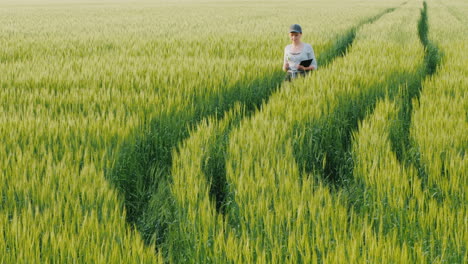 Junge-Bäuerin-Zu-Fuß-In-Einem-Feld-Mit-Grünem-Weizen