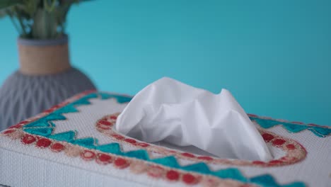 hand reaching for tissue from a decorative embroidered tissue box