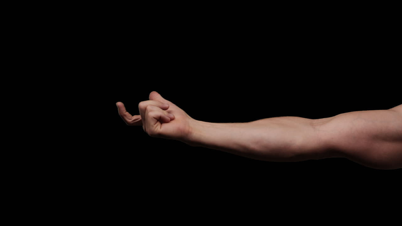 알파 채널에 대한 손의 제스처