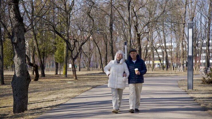 Distant view of a couple holding hands and walking in the park on a winter day