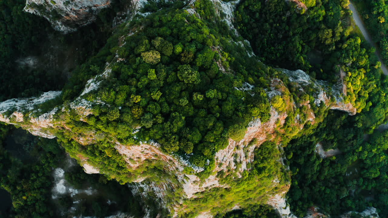 vista aérea de un bosque montañoso