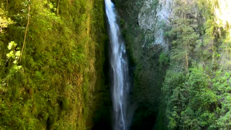 tilt down of hidden mili mili waterfall streaming into natural pool surrounded by dense green vegetation, coñaripe, chile