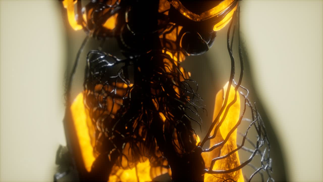 los huesos del esqueleto humano escanean brillando