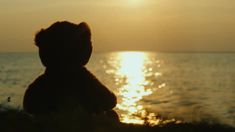 teddy bear silhouette looks at the sunrise over the sea