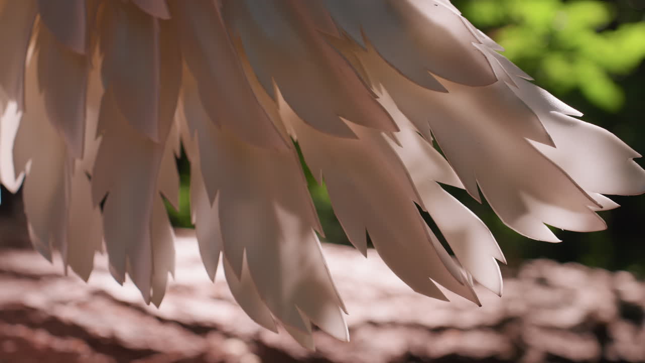 Closeup detail of delicate fairy bird wing feathers softly illuminated by warm natural light, showing smooth texture, gentle curves, and dreamy pastel tones