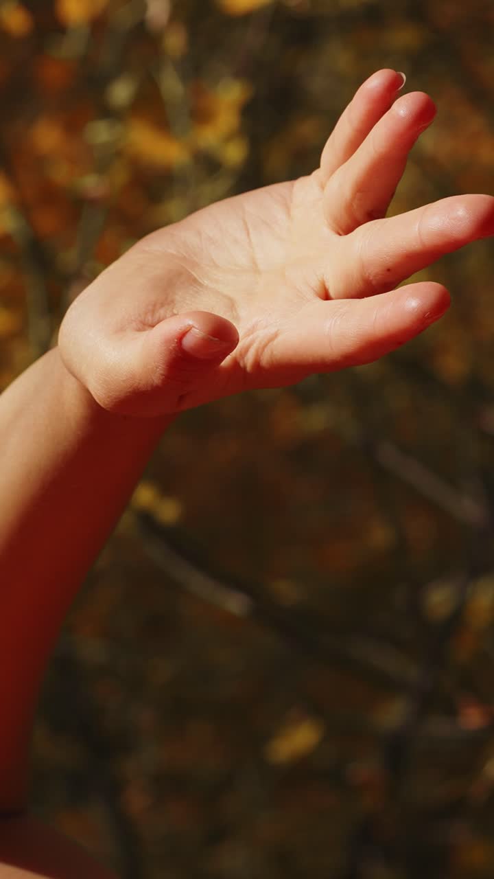 Aesthetic Portrait of a Woman with Natural Beauty and Sun-kissed Skin, Capturing an Intimate Moment of Joyfulness against a Colorful Background