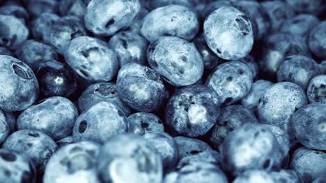 closeup blueberries rotating. seamless looping, 4k. fruit background.