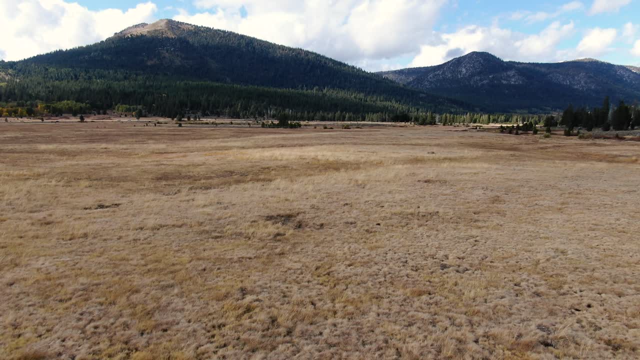drone disparado en el horizonte de un paisaje de montañismo, rodeado de bosque de pinos, y un río a través de los pinos en el lago tahoe en sierra nevada, california