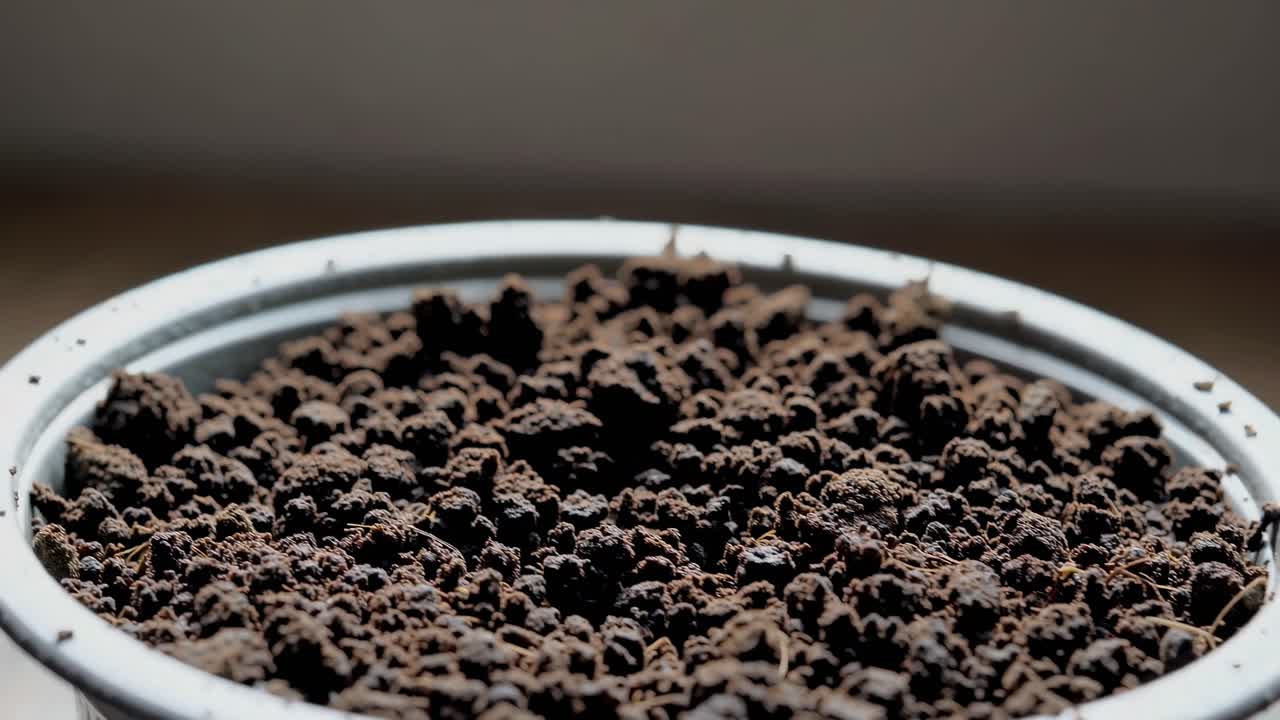 Video ravvicinato di piantine verdi che spuntano in un vaso, ripreso da un angolo basso, che mette in risalto la crescita