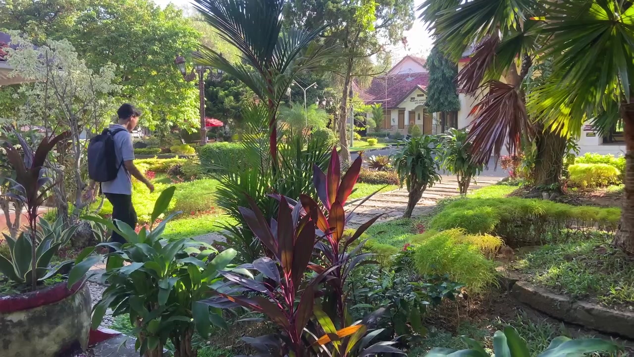 Seseorang berjalan melintasi taman tropis yang rimbun pada hari yang cerah
