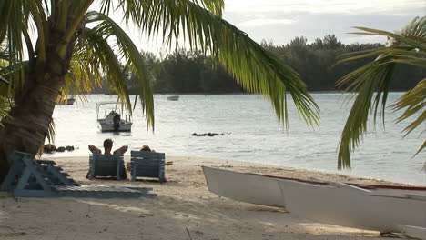 stock footage tropical island