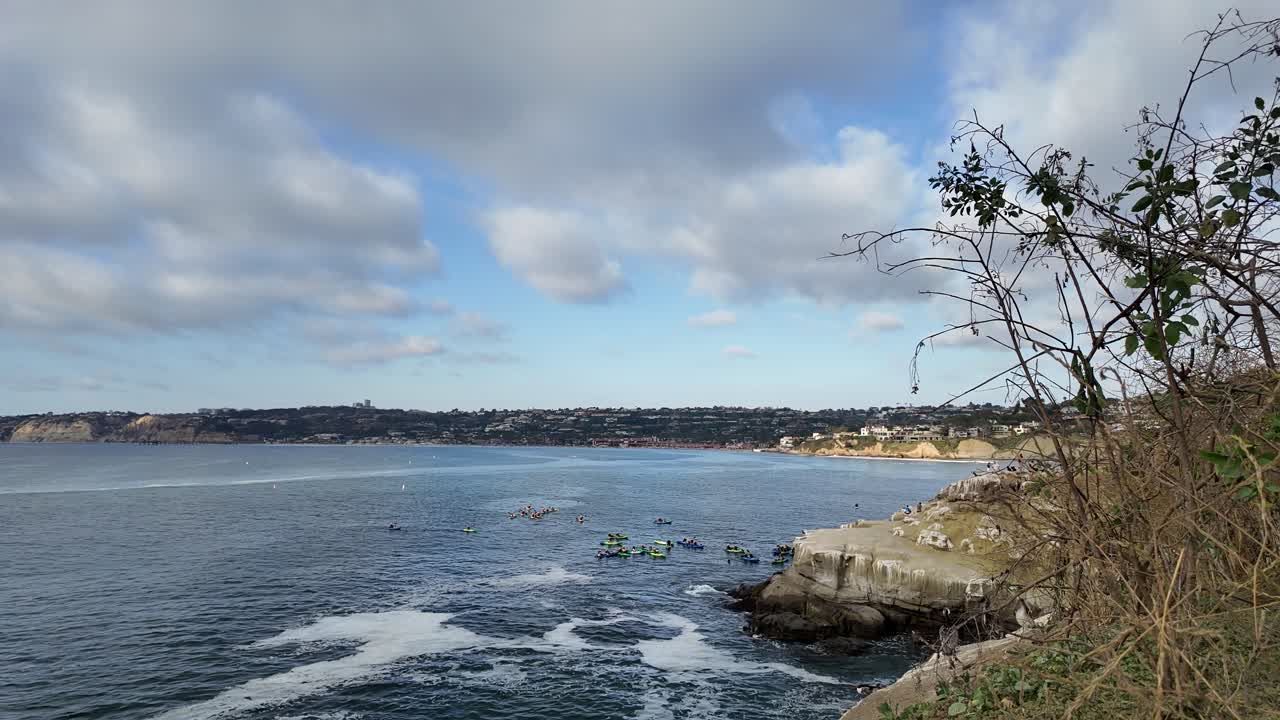 La Jolla Cove sea kayaking tours and wildlife viewing adventures in San Diego, California (USA)