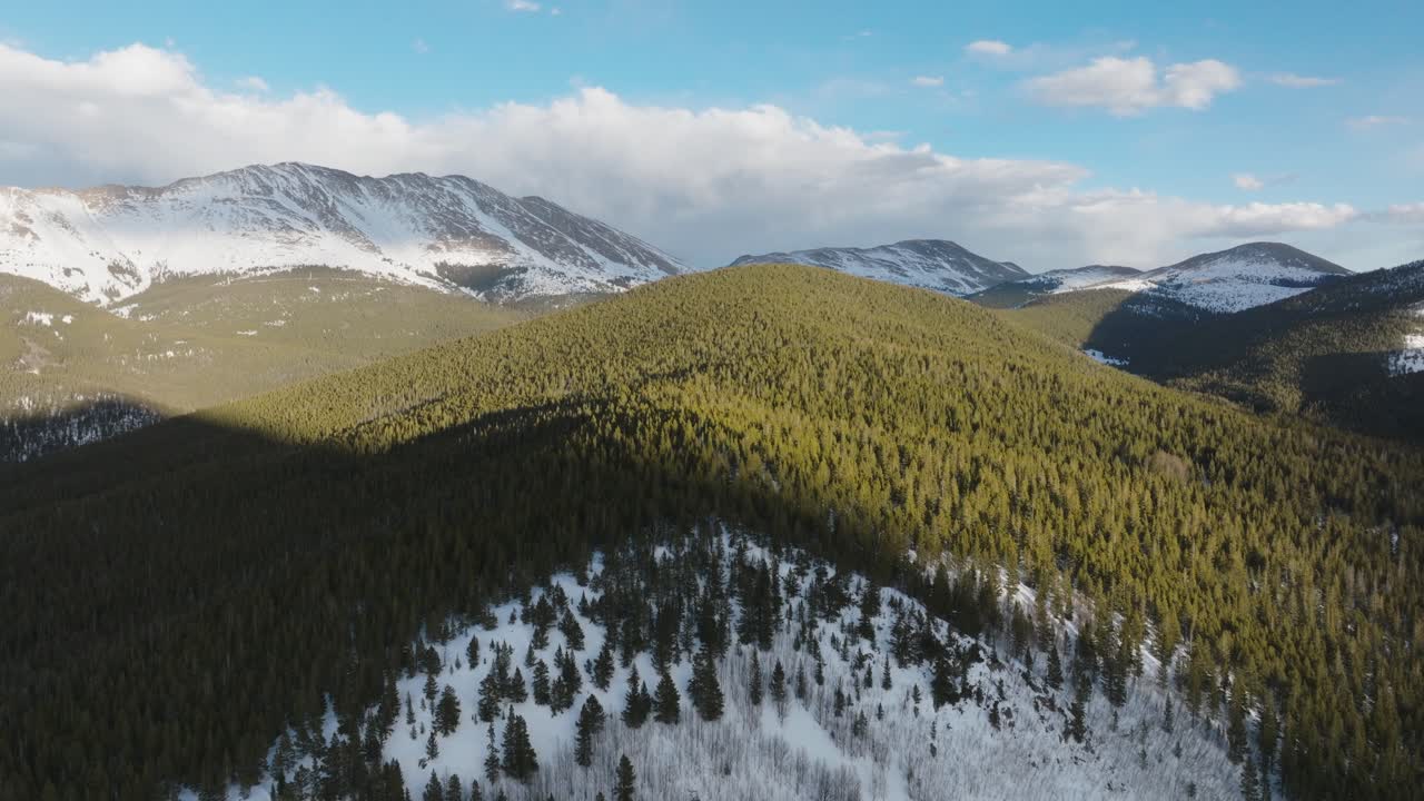 Aerial view of Pine trees in the rocky mountains of Colorado, USA on a sunny day.