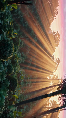 sunbeams piercing through a lush forest canopy