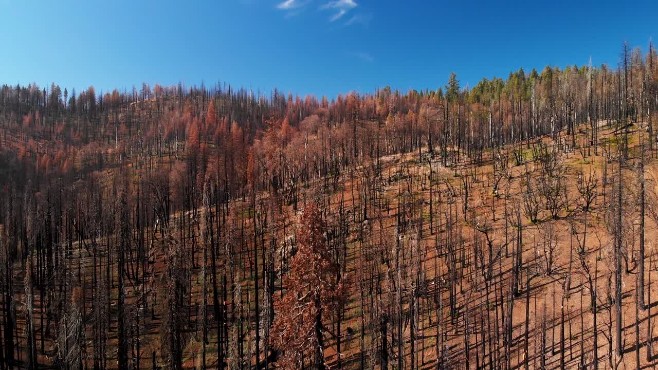 Ripresa aerea sopra montagne e alberi dopo un incendio in California