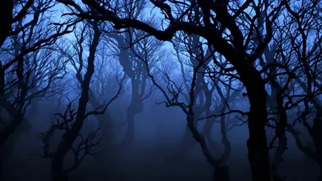 misty blue forest with silhouetted bare trees