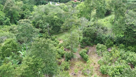 Luftvideo-Der-Drohne,-Wo-Ein-Schönes-Haus-Hinter-Der-Vegetation-Der-Berge-Offenbart-Wird