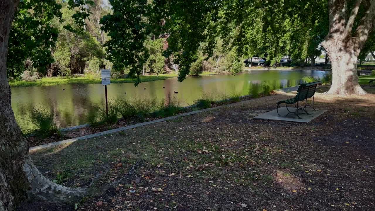 4k Hyde Park Perth lake panning past tree trunk to bench seat inner-city oasis