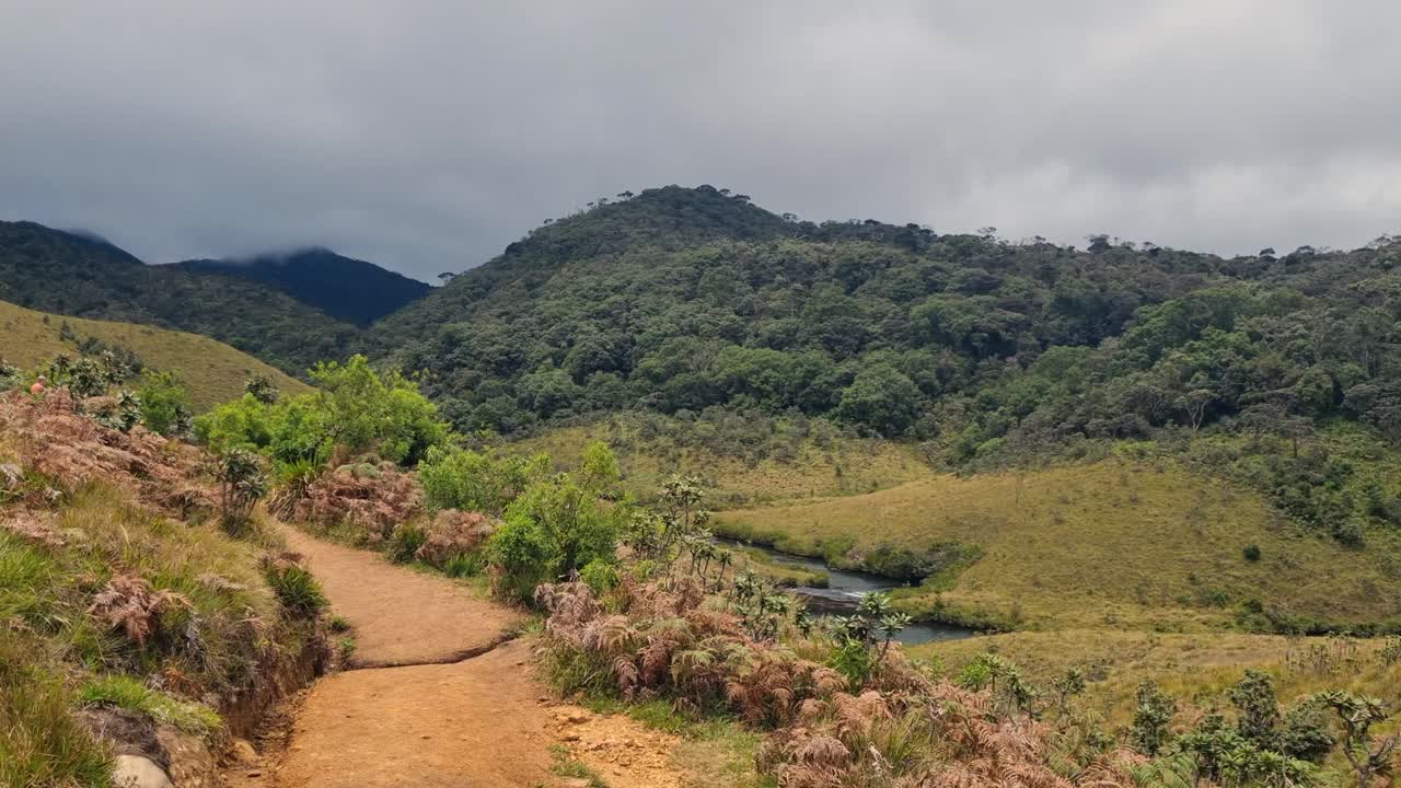 Naturskøn udsigt i Horton Plains Nationalpark, det centrale Sri Lanka, med en smal vandresti, der fører gennem højlandsvegetation mod en lille sø under en skyet himmel, fjerntliggende bjergvildmark.