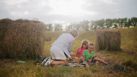 happy family gathered on checkered blanket in open countryside, enjoying picnic with snacks and warm sunlight glow, children and adults interact joyfully, surrounded by hay bales and scenic nature