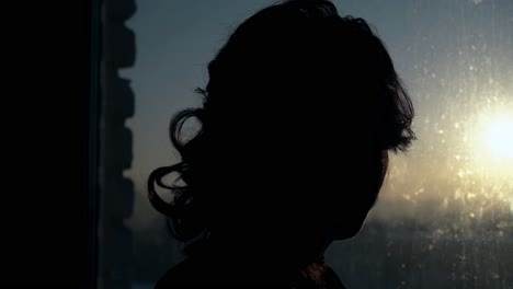 silhouette of lady fixing long hair at clean window closeup