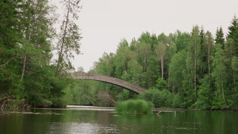 wide perspective approaching high arched wooden bridge over green river, framed by dense forest during overcast summer day with natural reflections on water. gliding shot