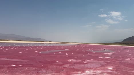 Rosafarbener-See,-Salzwasser,-Malerische-Landschaft-Von-Maharloo,-Flamingo-Strand-Im-Iran,-Sommersaison,-Reise-In-Die-Wüste,-Wunderbare-Wunder,-Ikonische-Touristenattraktion,-Weiter-Blick-Auf-Den-Horizont,-Berge,-Umwelt,-Natur,-Algen