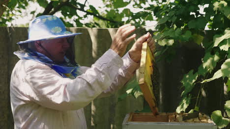 an elderly beekeeper working in an apiary near the hive 4k video