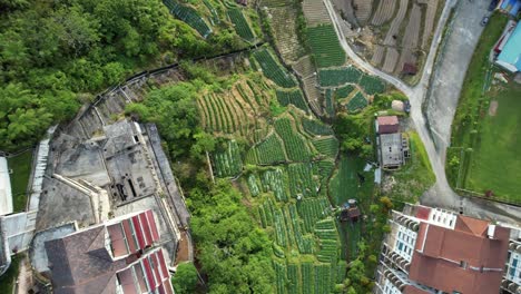 general landscape view of the brinchang district within the cameron highlands area of malaysia