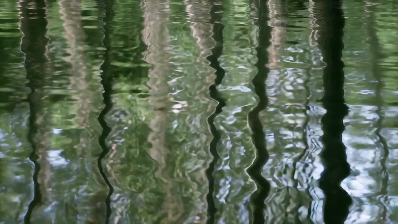 Rippling water surface with vertical tree reflections undulating at pond, triggered by light breeze