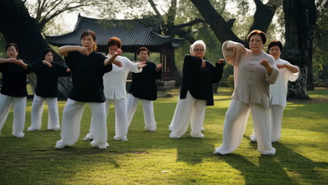 elderly women practicing tai chi in a park